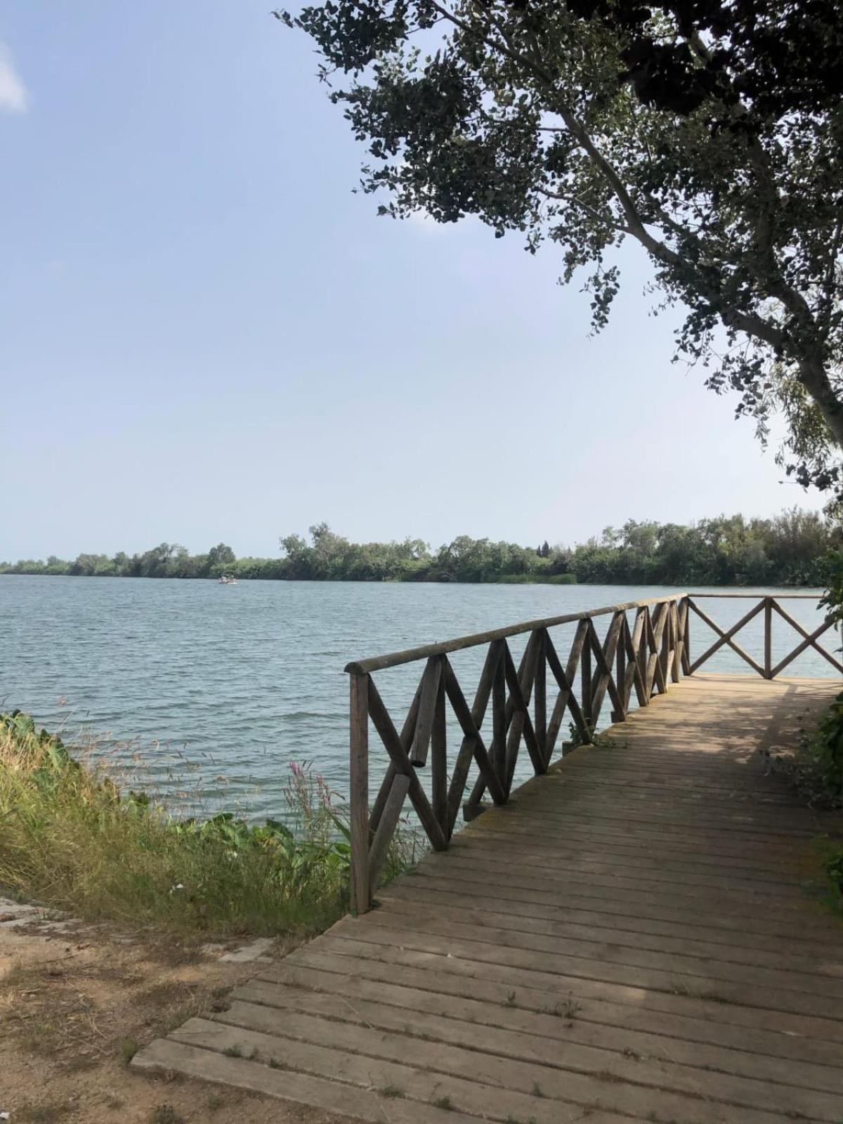 La Barcassa De Deltebre Daire Dış mekan fotoğraf